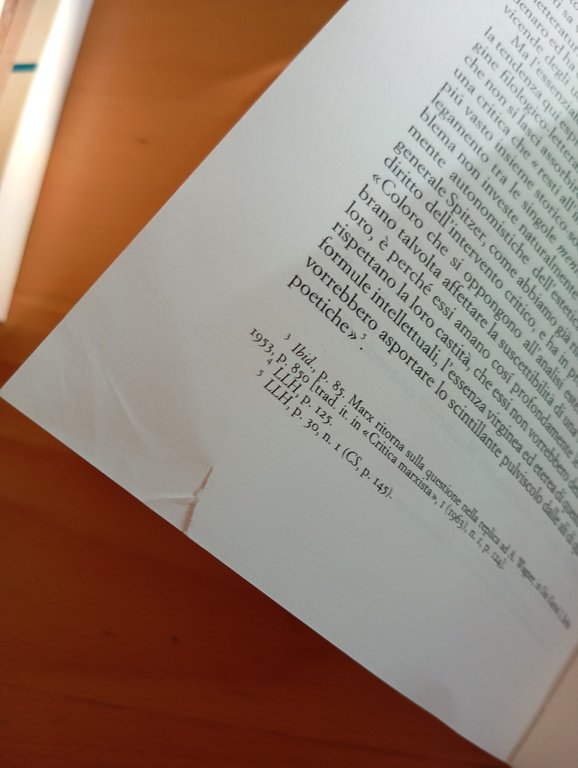 Il testimone secondario, Cesare Cases, Einaudi, 1985