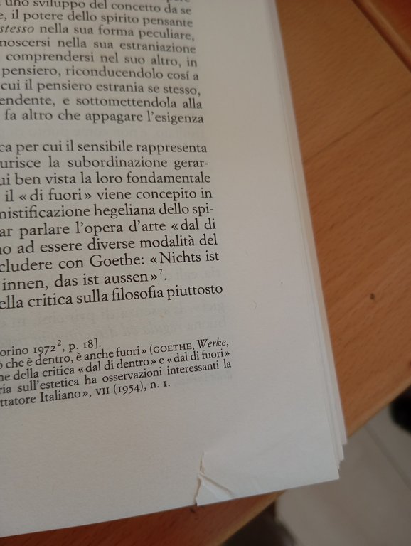 Il testimone secondario, Cesare Cases, Einaudi, 1985