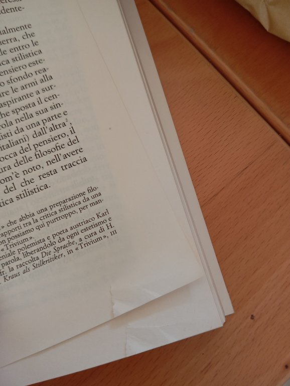 Il testimone secondario, Cesare Cases, Einaudi, 1985