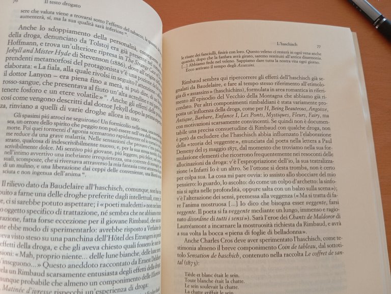 Il testo drogato. Letteratura e droga, Alberto Castoldi, Einaudi, 1994