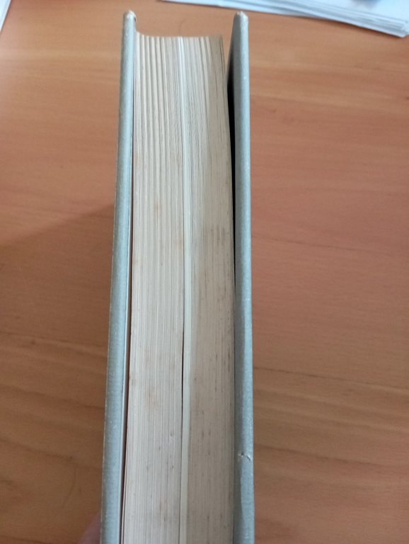 Immagine e persuasione. Saggi sul Barocco, Giulio Carlo Argan, Feltrinelli, … | Immagine Gallery 8