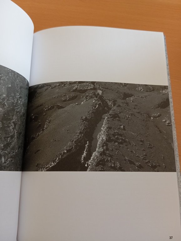 Imprevedibile Unpredictable essere pronti per il futuro, Giovani Carrada, 2018