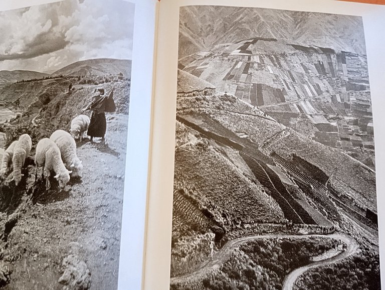 Sebastião Salgado, In cammino, Contrasto 2000, 1ª edizione, fascicolo allegato | Immagine Gallery 16