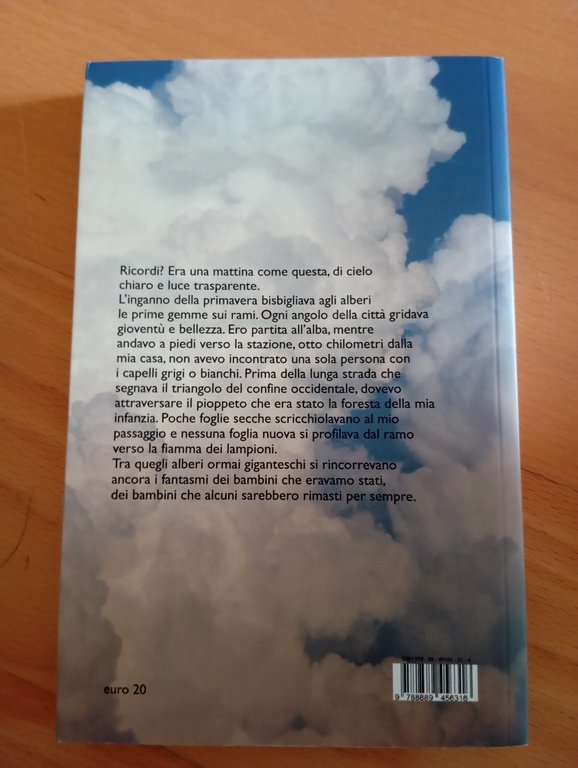 In giornate identiche a nuvole, Elena Petrassi, ATi, 2017