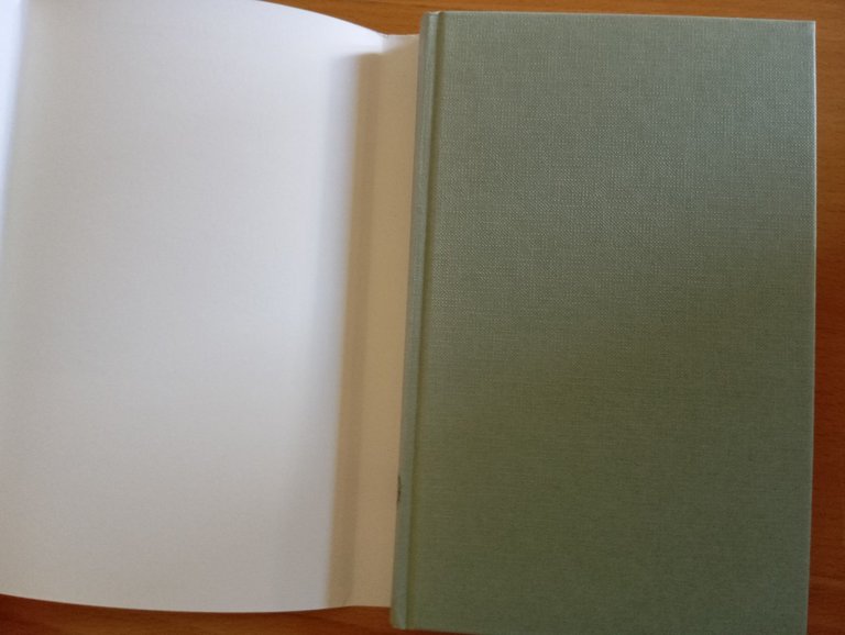 Infanzia. Scene di vita di provincia, J. M. Coetzee, Einaudi, … | Immagine Gallery 6