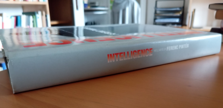 Intelligence nell'arte di Fernec Pintér, AISE, 2009 | Immagine Gallery 2