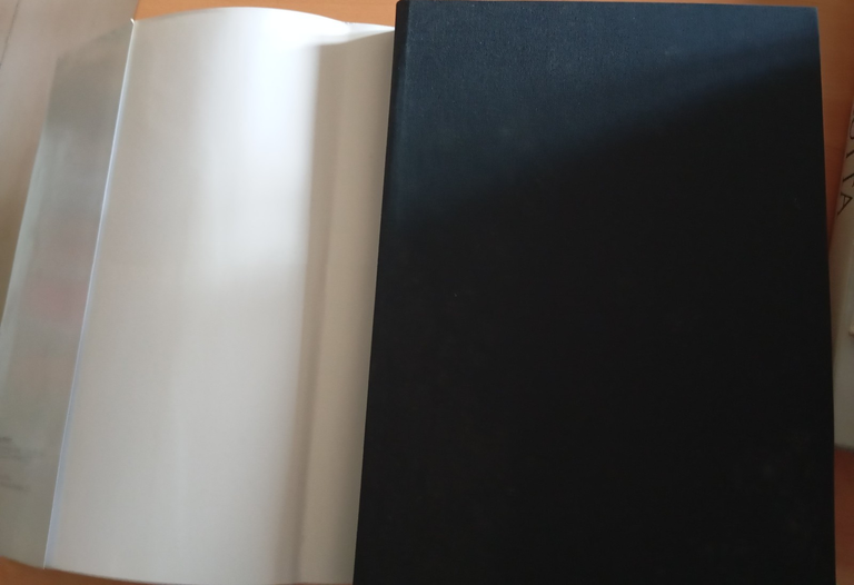 Intelligence nell'arte di Fernec Pintér, AISE, 2009 | Immagine Gallery 5