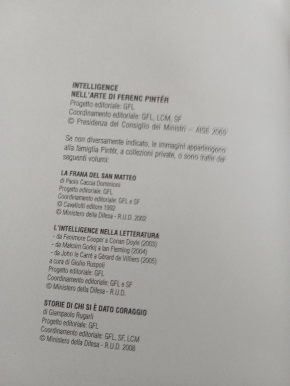 Intelligence nell'arte di Fernec Pintér, AISE, 2009 | Immagine Gallery 7