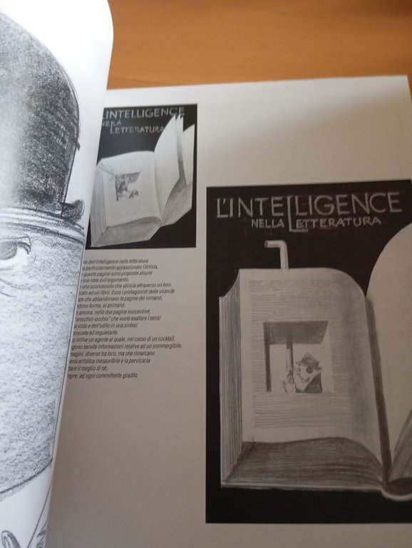 Intelligence nell'arte di Fernec Pintér, AISE, 2009 | Immagine Gallery 8