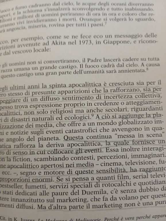 Internet e la Madonna. Sul visionarismo, Paolo Apolito, Feltrinelli, 2002 | Immagine Gallery 11
