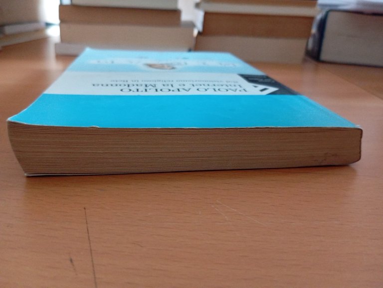 Internet e la Madonna. Sul visionarismo, Paolo Apolito, Feltrinelli, 2002 | Immagine Gallery 3