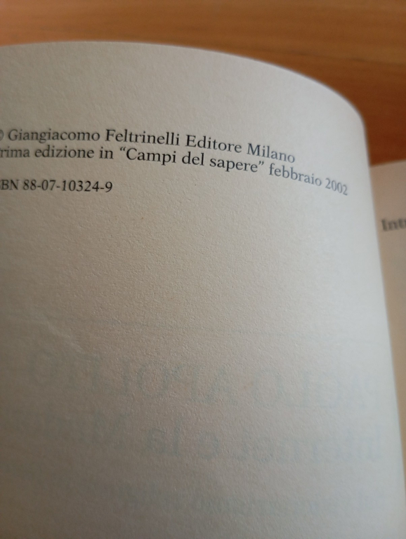 Internet e la Madonna. Sul visionarismo, Paolo Apolito, Feltrinelli, 2002 | Immagine Gallery 6