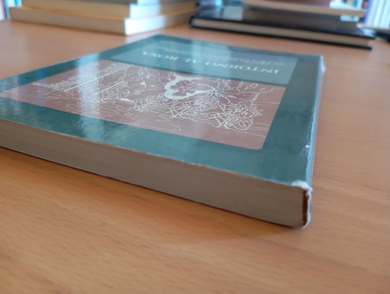 Intorno al rosa, Centro di documentazione ricerca donne, Essedue edizioni, … | Immagine Gallery 3