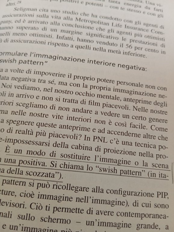 Introduzione alla PNL. Magia del rapport, Jerry Richardson, 2004