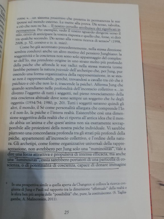 Introduzione alla psicologia analitica, C. G. Jung, conferenze Basilea,