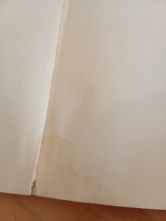 Kafka. Per una letteratura minore, G. Deleuze - F. Guattari, …