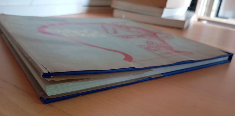 L'abitato villanoviano del Gran carro sommerso nel lago di Bolsena, … | Immagine Gallery 11