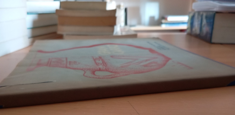 L'abitato villanoviano del Gran carro sommerso nel lago di Bolsena, … | Immagine Gallery 2