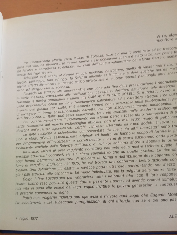 L'abitato villanoviano del Gran carro sommerso nel lago di Bolsena, … | Immagine Gallery 7