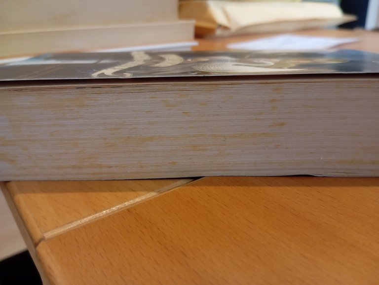 L'accademia del bene e del male, Soman Chainani, Mondadori, 2017 | Immagine Gallery 8