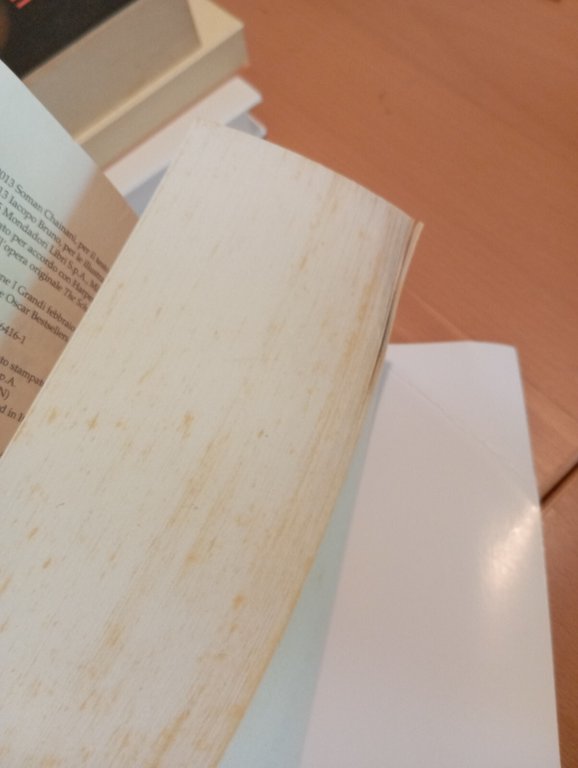 L'accademia del bene e del male, Soman Chainani, Mondadori, 2017 | Immagine Gallery 10