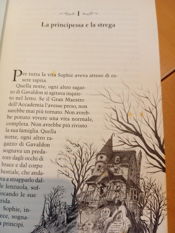 L'accademia del bene e del male, Soman Chainani, Mondadori, 2017 | Immagine Gallery 18