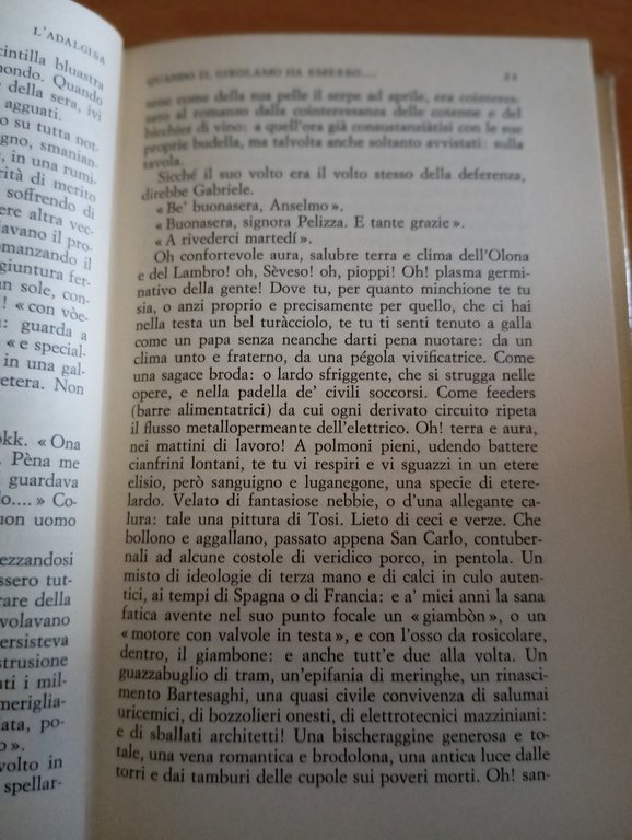 L'adalgisa, Carlo emilio Gadda, Einaudi NUE, 1963