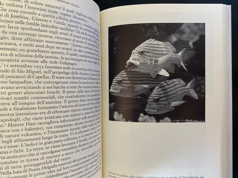 L'albero d'oro della vita, Irenaus Eibl-Eibesfeldt, Bollati Boringhieri, 1994