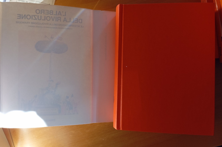 L'albero della rivoluzione, B. Bongiovanni - L. Guerci, Einaudi, 1989