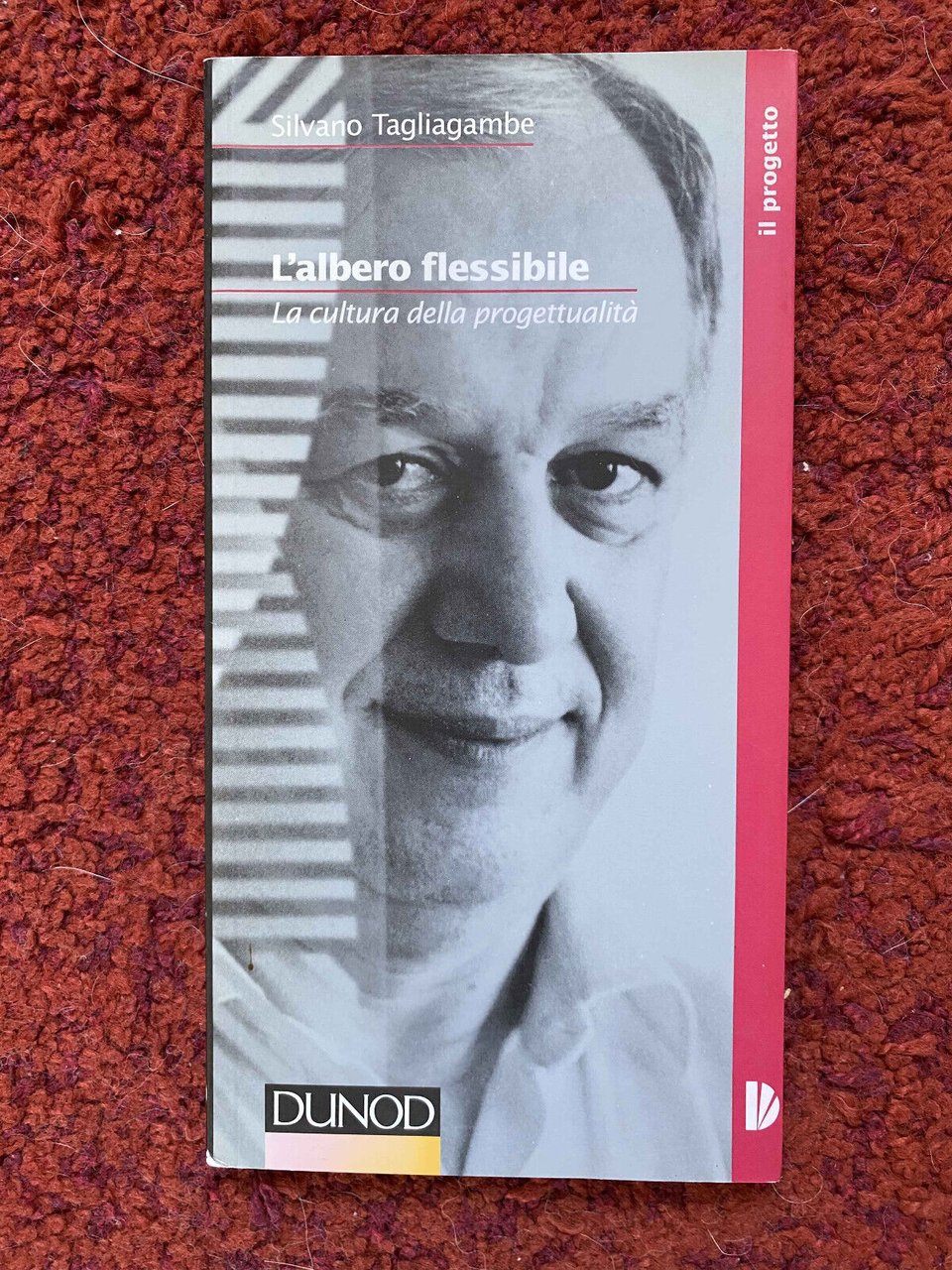 L'albero flessibile. La cultura della progettualità, Silvano Tagliagambe, 1997