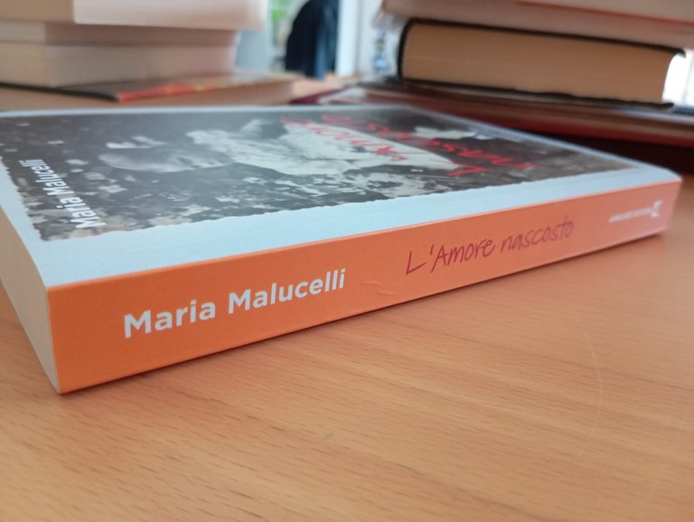 L'amore nascosto, Maria Malucelli, Armando, 2021