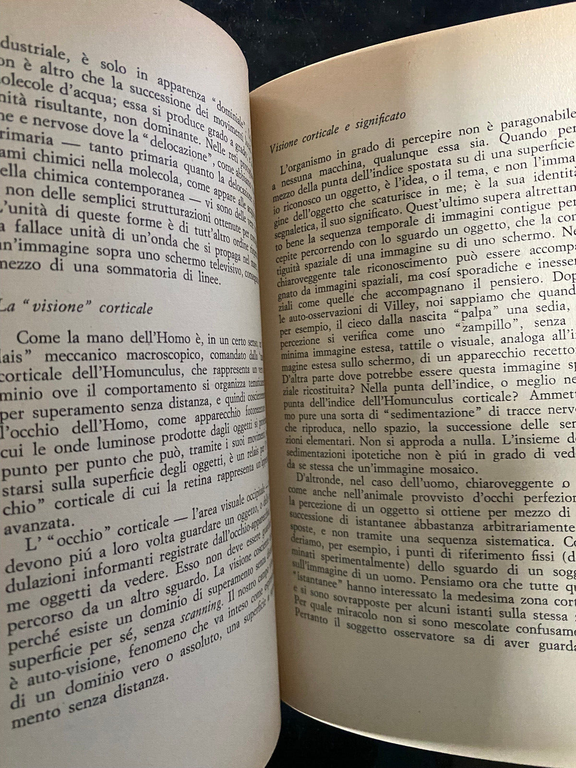 L'animale, l'uomo e la funzione simbolica, Raymon Ruyer, Bompiani, 1972