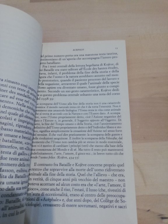 L'aperto. L'uomo e l'animale, Giorgio Agamben, Bollati Boringhieri, 2017