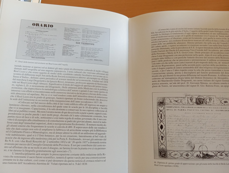 L'Aquila e la provincia aquilana. Economia, società e cultura 1859 …
