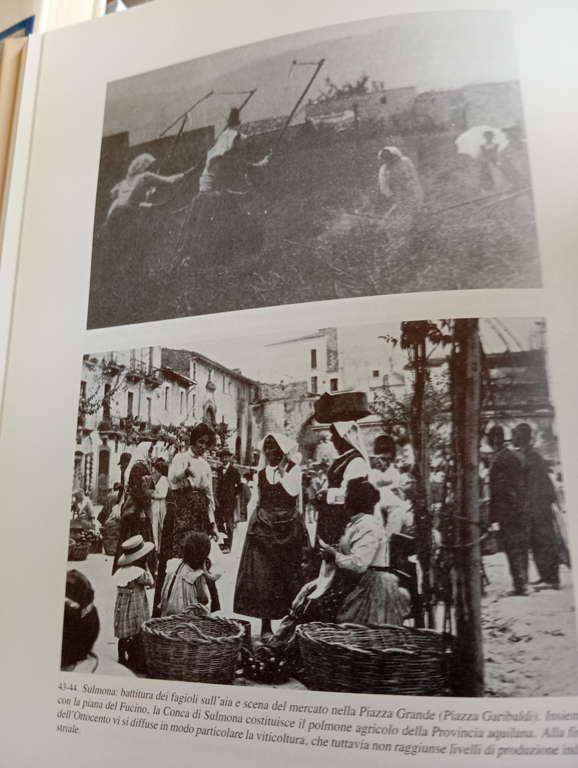 L'Aquila e la provincia aquilana. Economia, società e cultura 1859 …