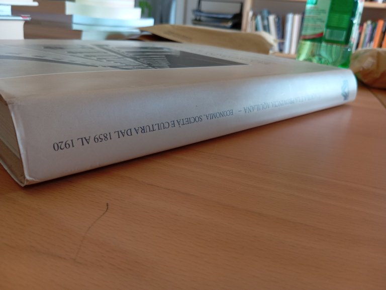 L'Aquila e la provincia aquilana. Economia, società e cultura 1859 …