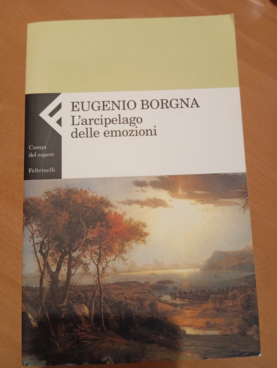 L'arcipelago delle emozioni, Eugenio Borgna, Feltrinelli, 2004 | Immagine principale