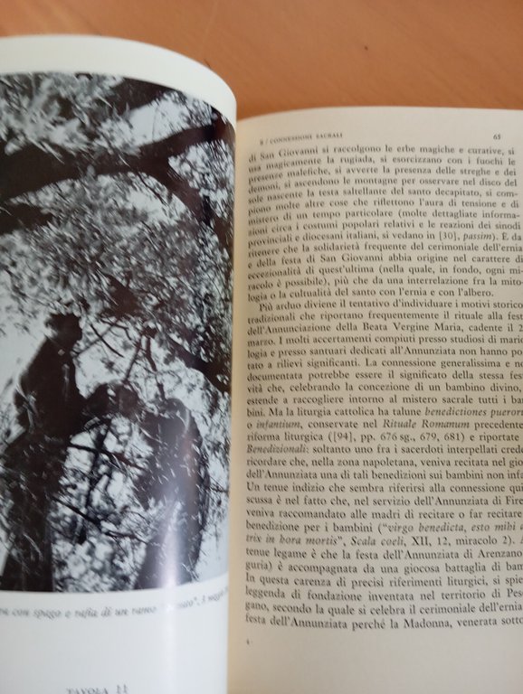 L'arco di Rovo, Alfonso M. Di Nola, Bollati Boringhieri, 1994