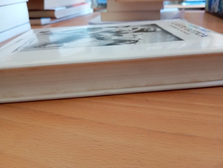 L'arte gotica in Francia e in Italia, Cesare Gnudi, Einaudi, … | Immagine Gallery 4