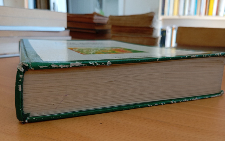 L'arte italiana, Piero Adorno, volume secondo rinascimento barocco, D'Anna, 1988