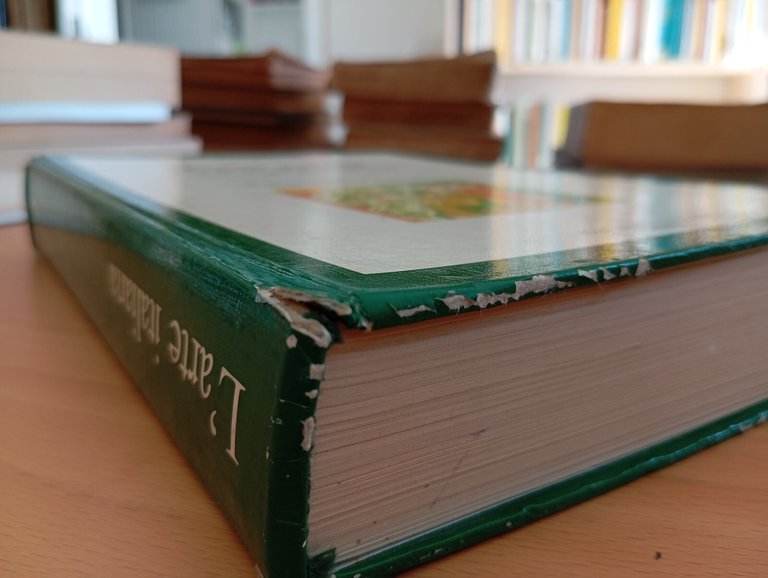 L'arte italiana, Piero Adorno, volume secondo rinascimento barocco, D'Anna, 1988