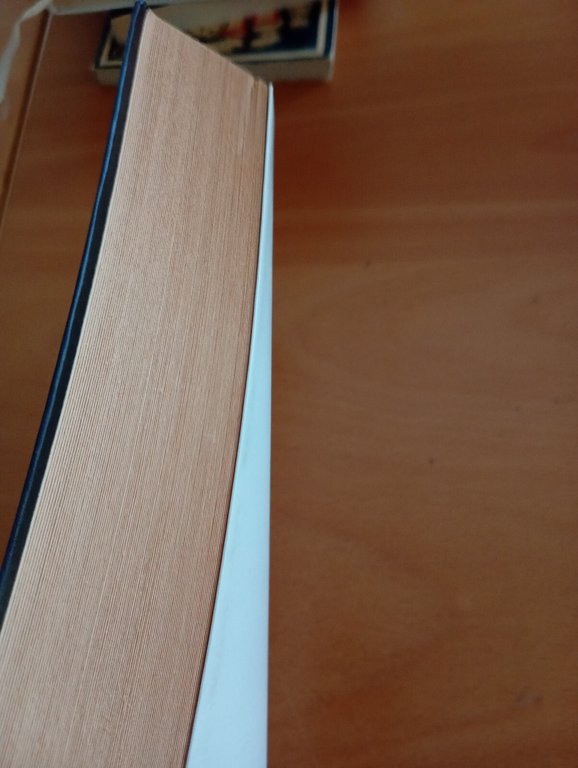 L'enigma della cosa in sé, Klaas Huizing, Neri Pozza, 1998 | Immagine Gallery 19