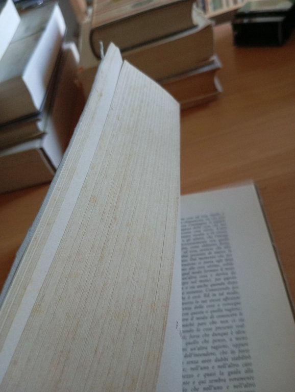 L'eretico Agostino Doni, Luigi De Franco, Pellegrini Editore, 1973 | Immagine Gallery 10