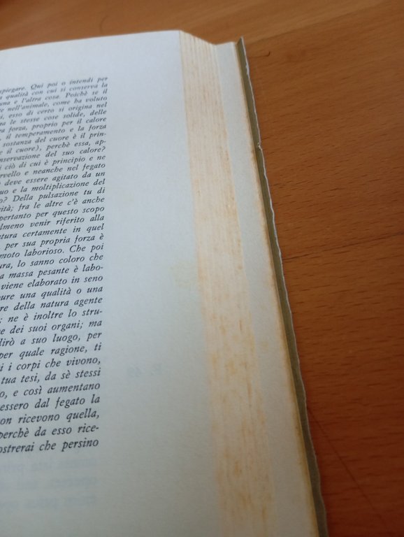 L'eretico Agostino Doni, Luigi De Franco, Pellegrini Editore, 1973 | Immagine Gallery 11