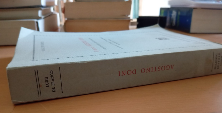 L'eretico Agostino Doni, Luigi De Franco, Pellegrini Editore, 1973 | Immagine Gallery 3