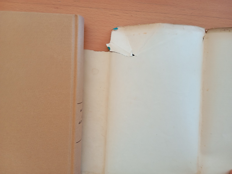 L'età dell'innocenza, Edith Wharton, Feltrinelli, 1960, prima edizione | Immagine Gallery 6