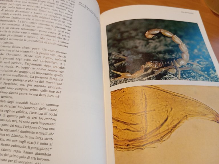 L'evoluzione animale, Alfred S. Romer, Garzanti, i libri della natura, …