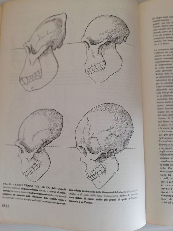 L'evoluzione e la specie umana, 1968, Zanichelli