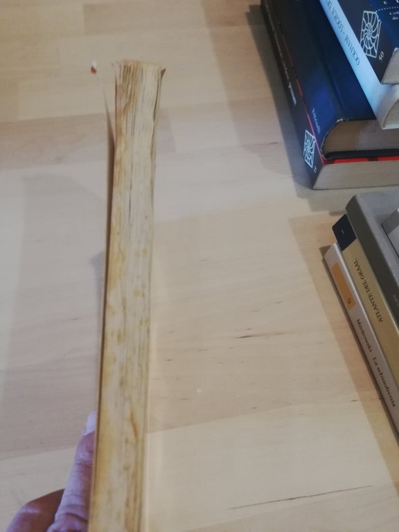 L'identità culturale dell'Europa, a cura di Paul Poupard, Piemme, 1994 | Immagine Gallery 11