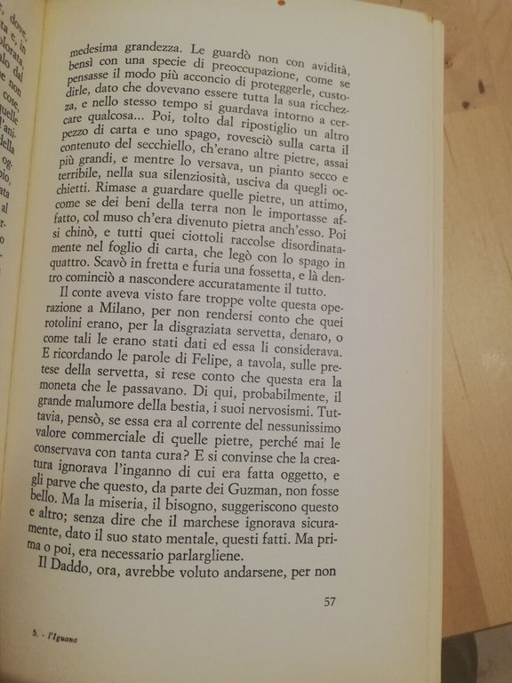 L'iguana, Anna Maria Ortese, 1965, Vallecchi